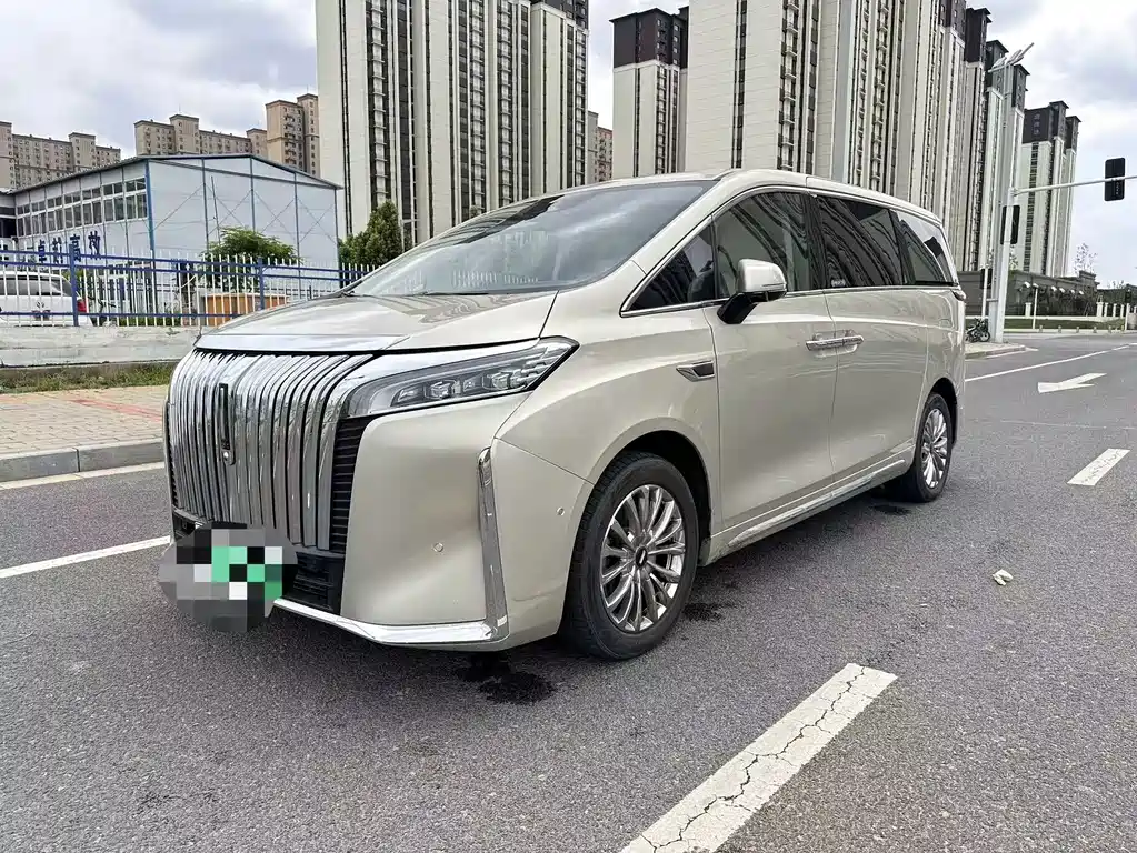 Wey Gaoshan 2024