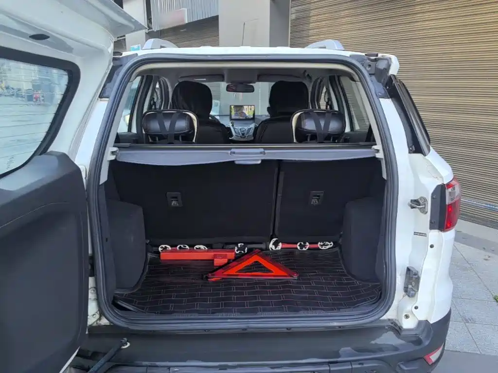 Ford EcoSport 2016 — фото 19