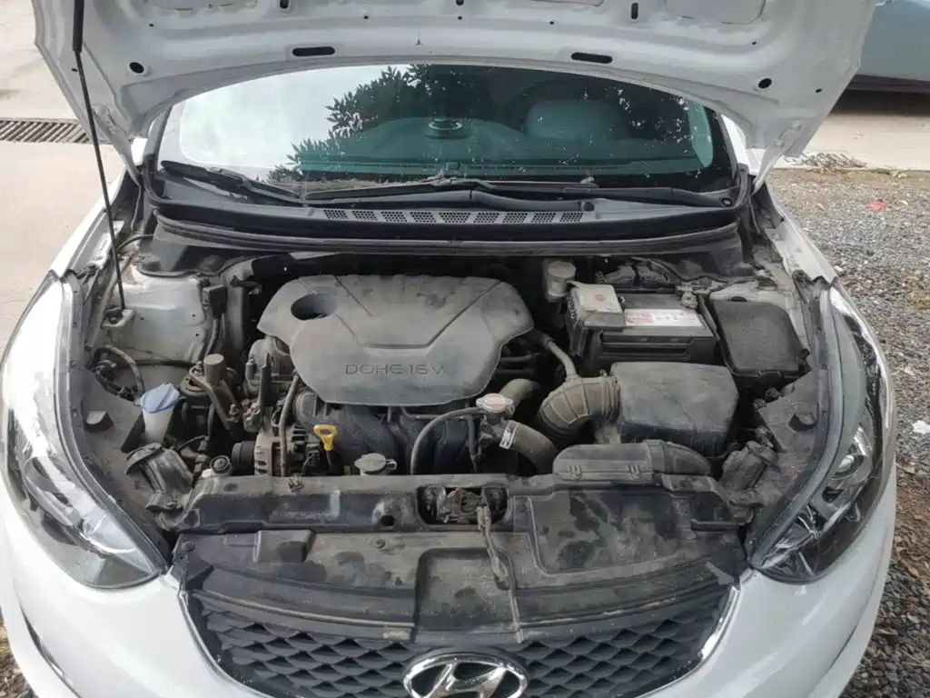 Hyundai Elantra Langdong 2017 — фото 20