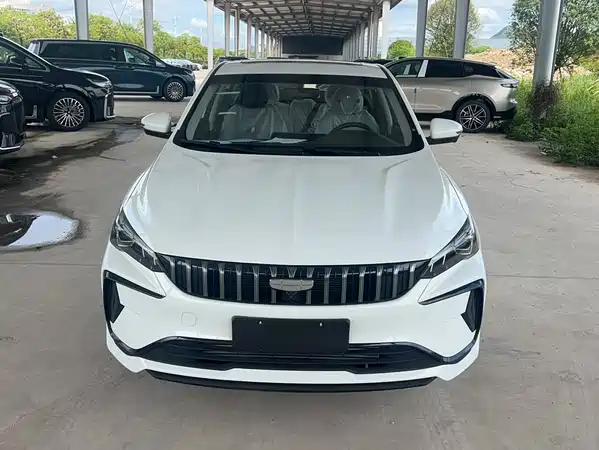 Geely Binrui 2026