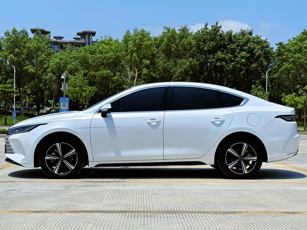 BYD Destroyer 05 2024 — фото 17