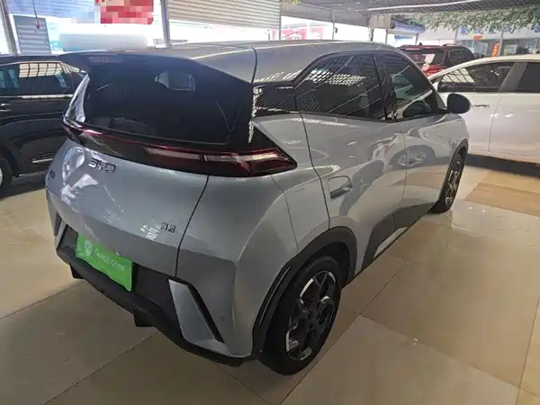 BYD Seagull 2024