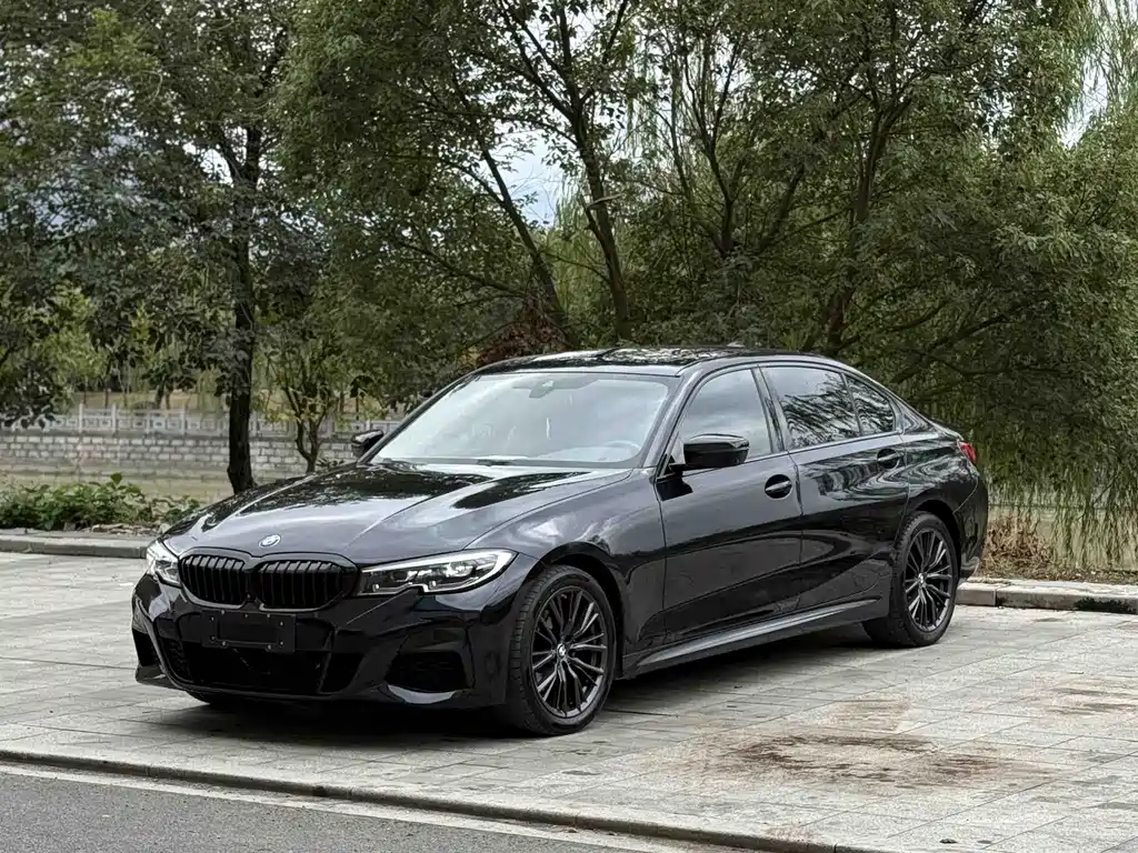 BMW 3 Series 2020 — фото 1