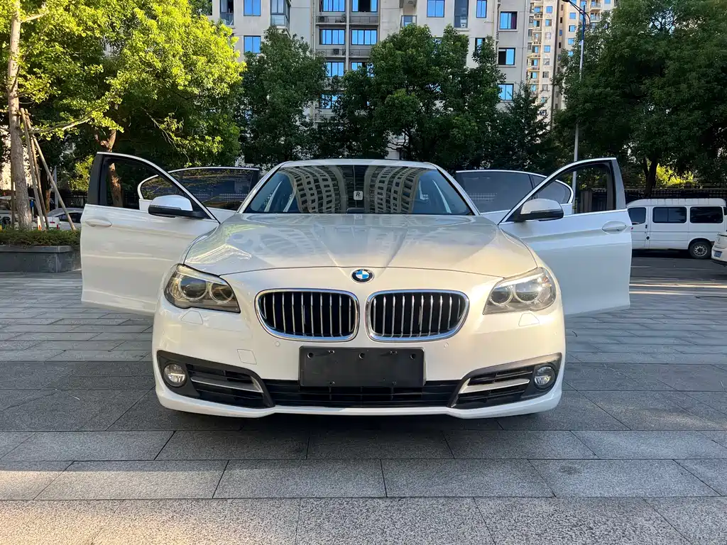 BMW 5 Series 2014 — фото 1