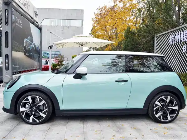 MINI MINI 2025