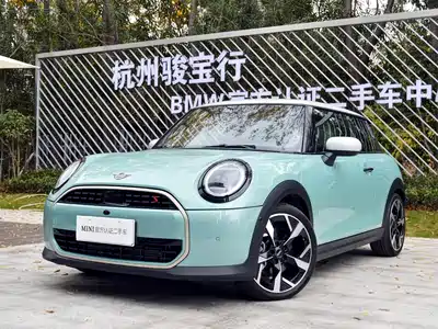 MINI MINI 2025