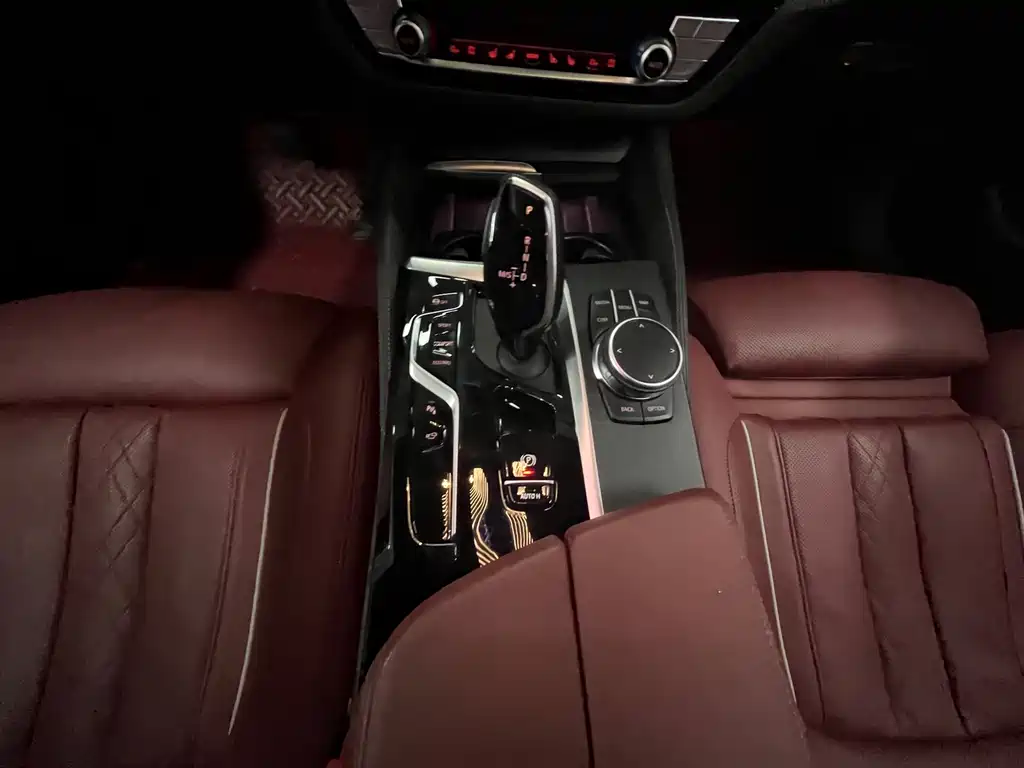 BMW 5 Series 2020 — фото 14