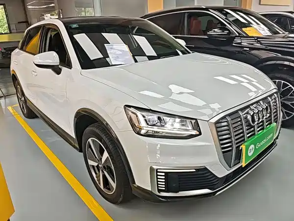 Audi Q2L E-Tron 2020