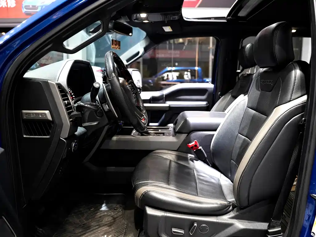 Ford F-150 Raptor 2019 — фото 19