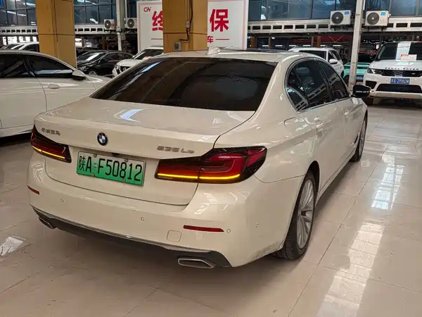 BMW 5 Series New Energy 2021