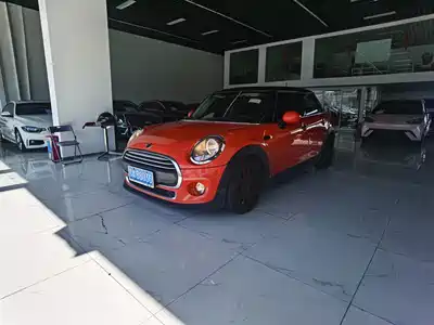 MINI MINI 2019