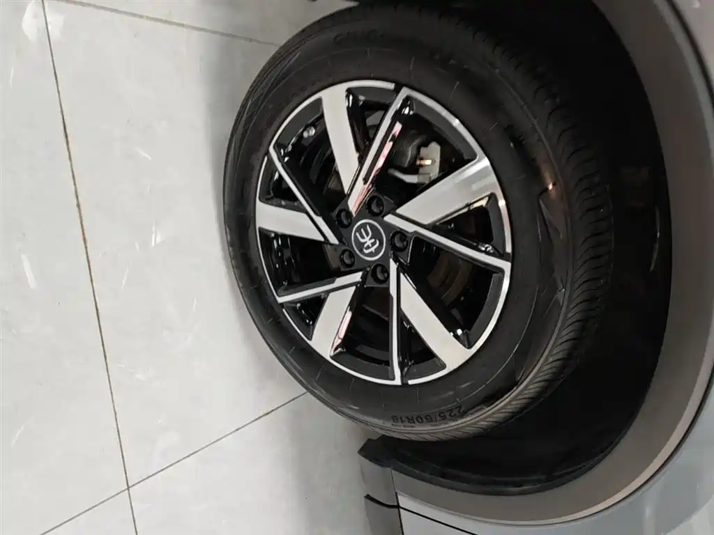 BYD Pro New Energy 2025 — фото 25