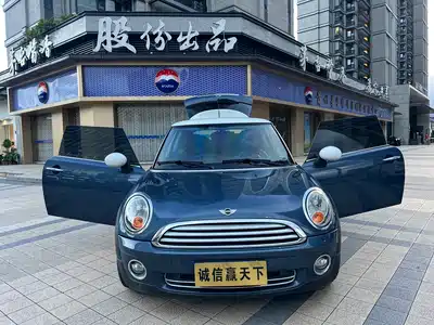 MINI MINI 2010