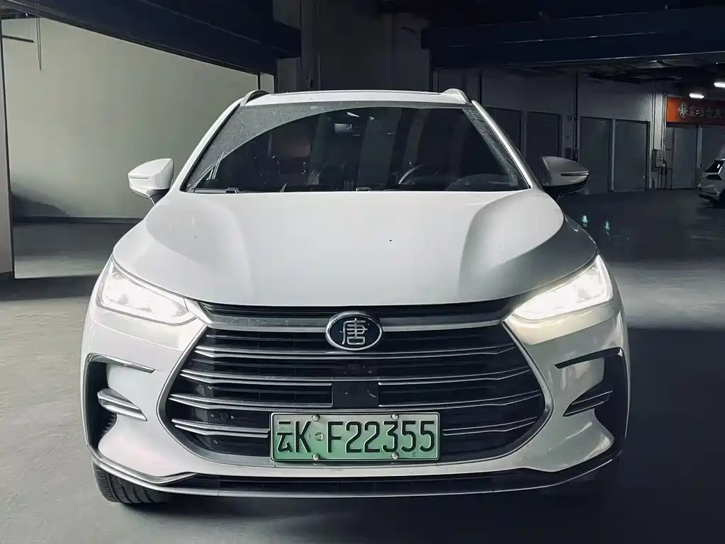 BYD Tang New Energy 2023 — фото 2