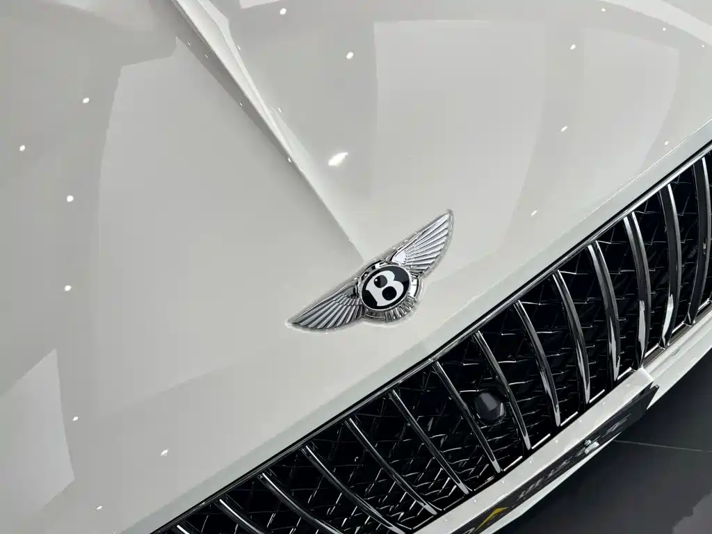 Bentley Continental 2025 — фото 4
