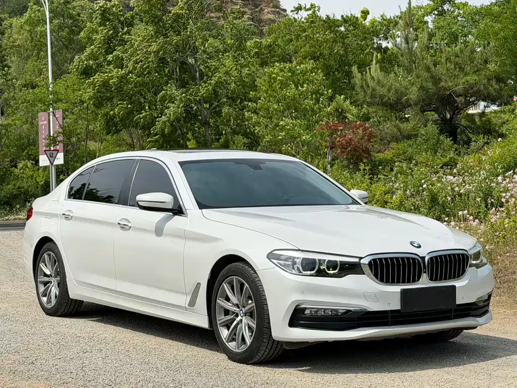 BMW 5 Series 2017 — фото 3