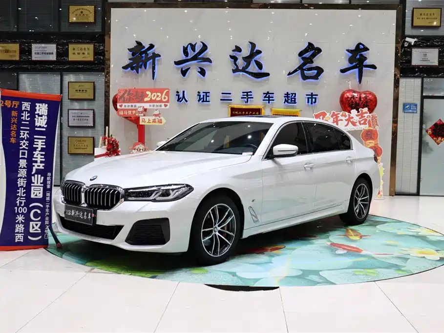 BMW 5 Series 2021