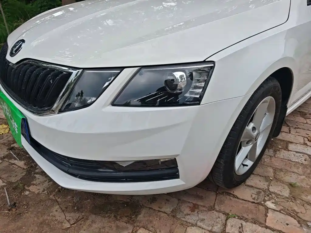 Skoda Octavia 2019 — фото 24