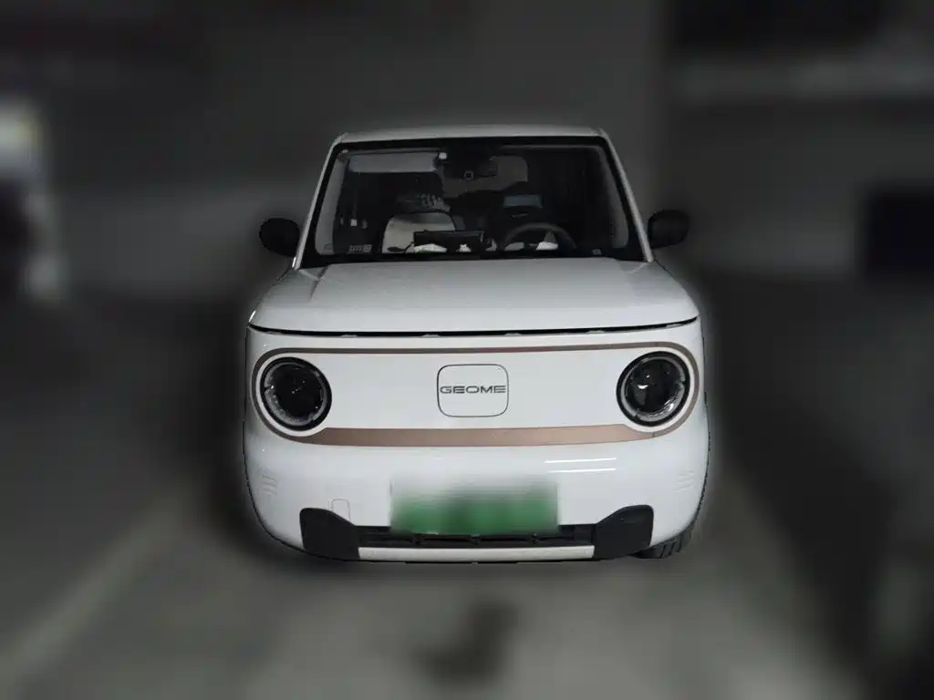 Geely Galaxy Panda 2024 — фото 2
