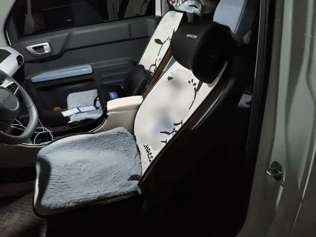 Geely Galaxy Panda 2024 — фото 13