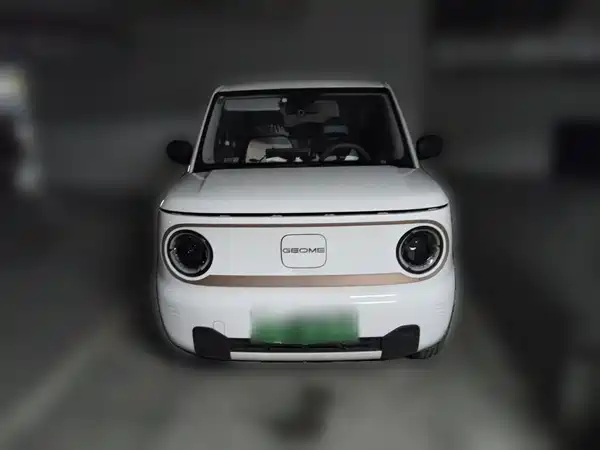 Geely Galaxy Panda 2024