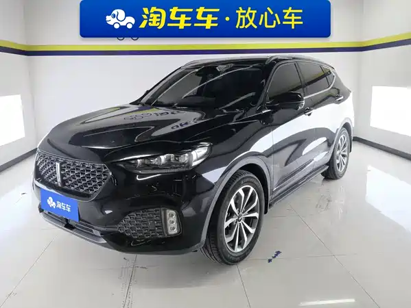 Wey VV6 2019