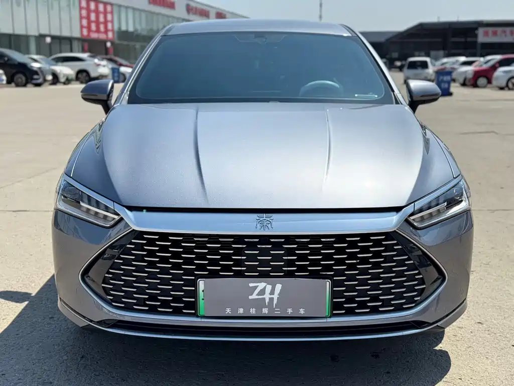 BYD Qin PLUS 2024 — фото 2