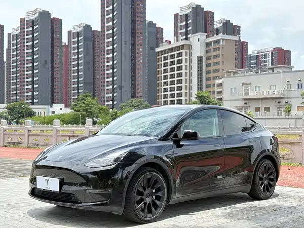 Tesla Model Y 2021