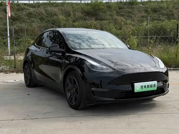 Tesla Model Y 2021