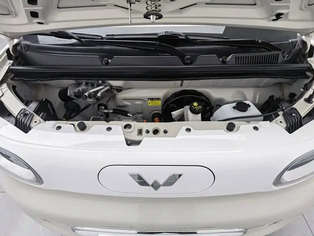 Wuling Hongguang MINIEV 2024