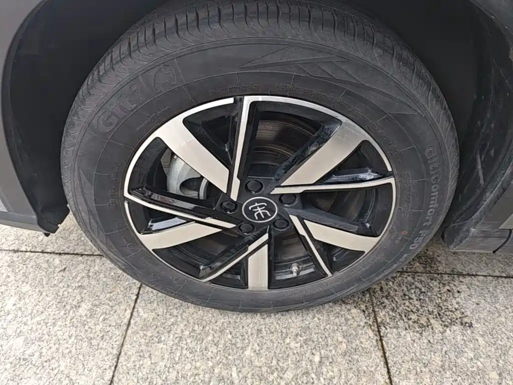 BYD Song Pro New Energy 2024 — фото 23
