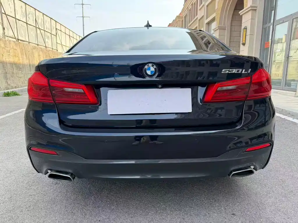 BMW 5 Series 2018 — фото 14