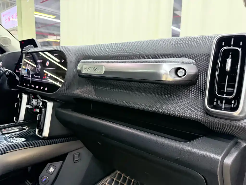 Haval Big Dog 2021 — фото 13