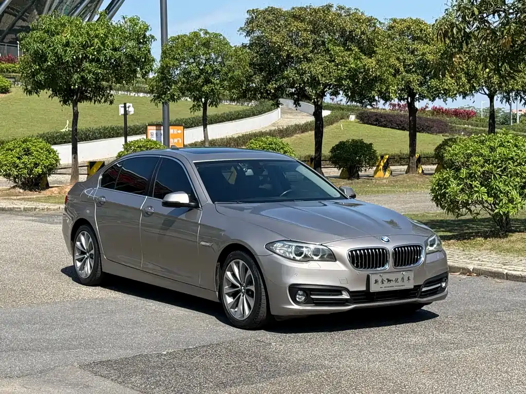 BMW 5 Series 2017 — фото 3