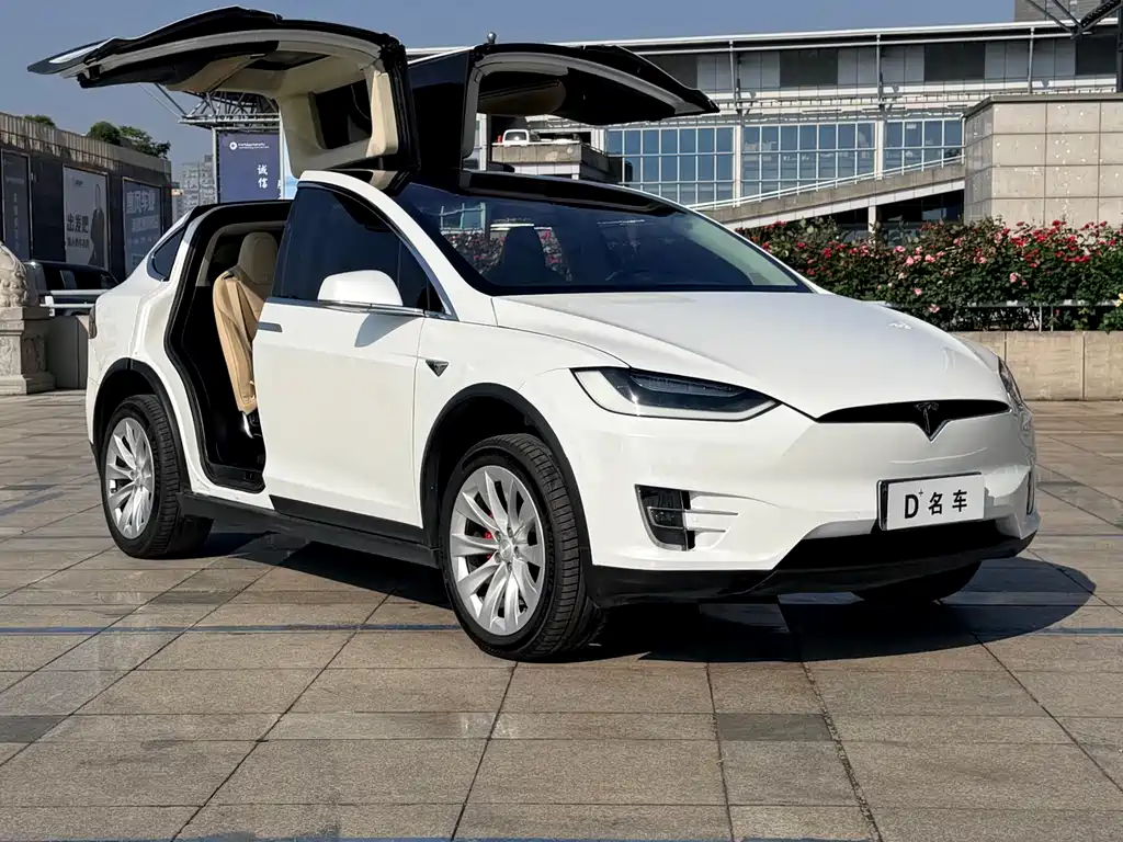 Tesla Model X 2017 — фото 15