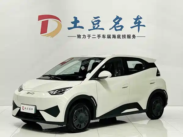BYD Seagull 2026