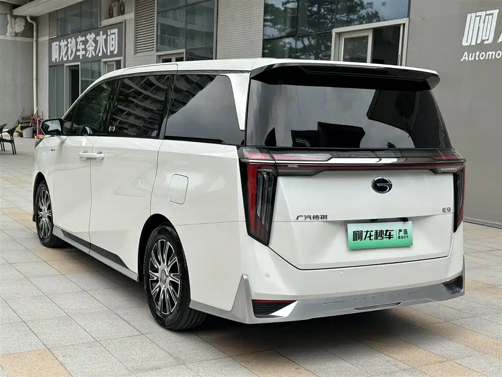 GAC Motor Trumpchi E9 2024 — фото 13