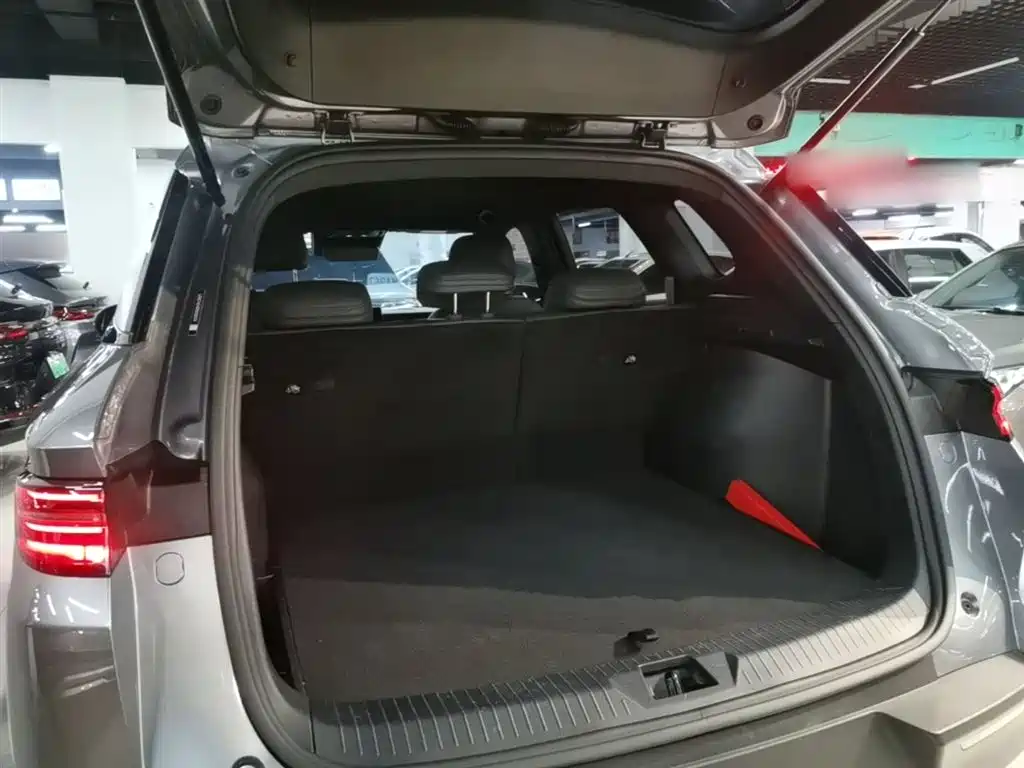 BYD Pro New Energy 2025 — фото 19