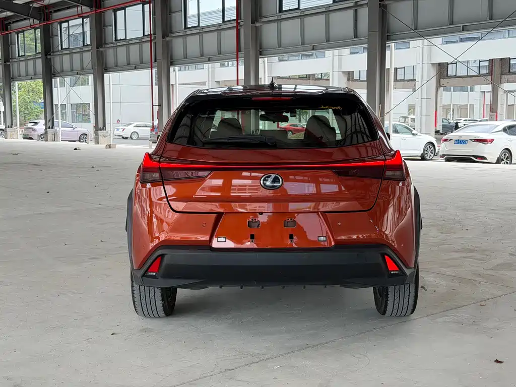 Lexus UX New Energy 2020 — фото 11
