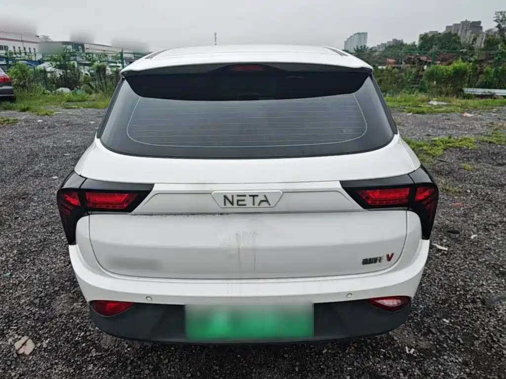 Neta V 2024