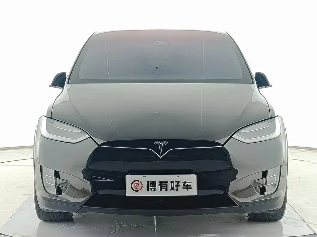 Tesla Model X 2019 — фото 2