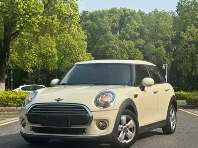 MINI MINI 2015