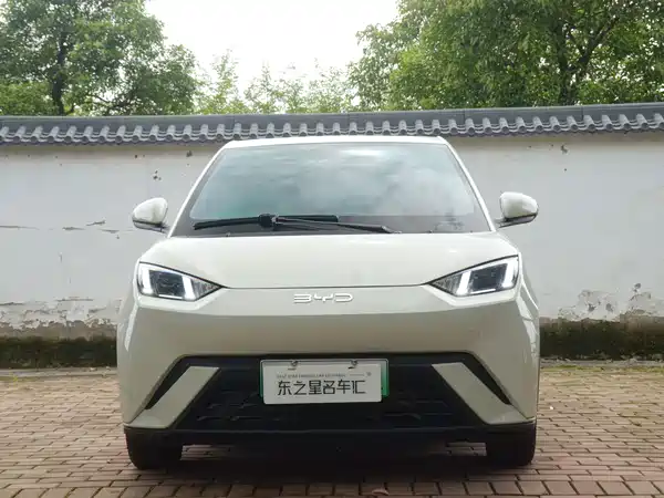 BYD Seagull 2024