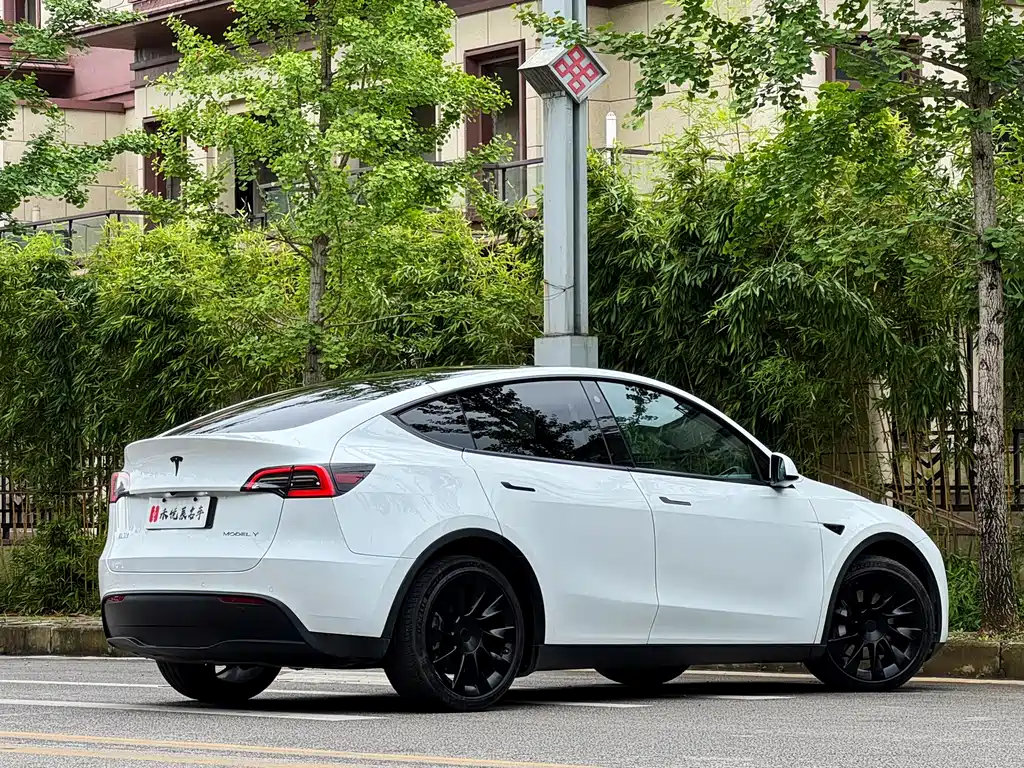 Tesla Model Y 2021 — фото 11