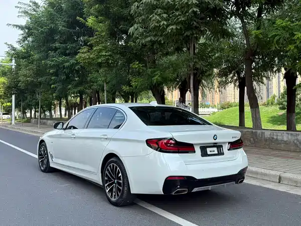 BMW 5 Series 2019