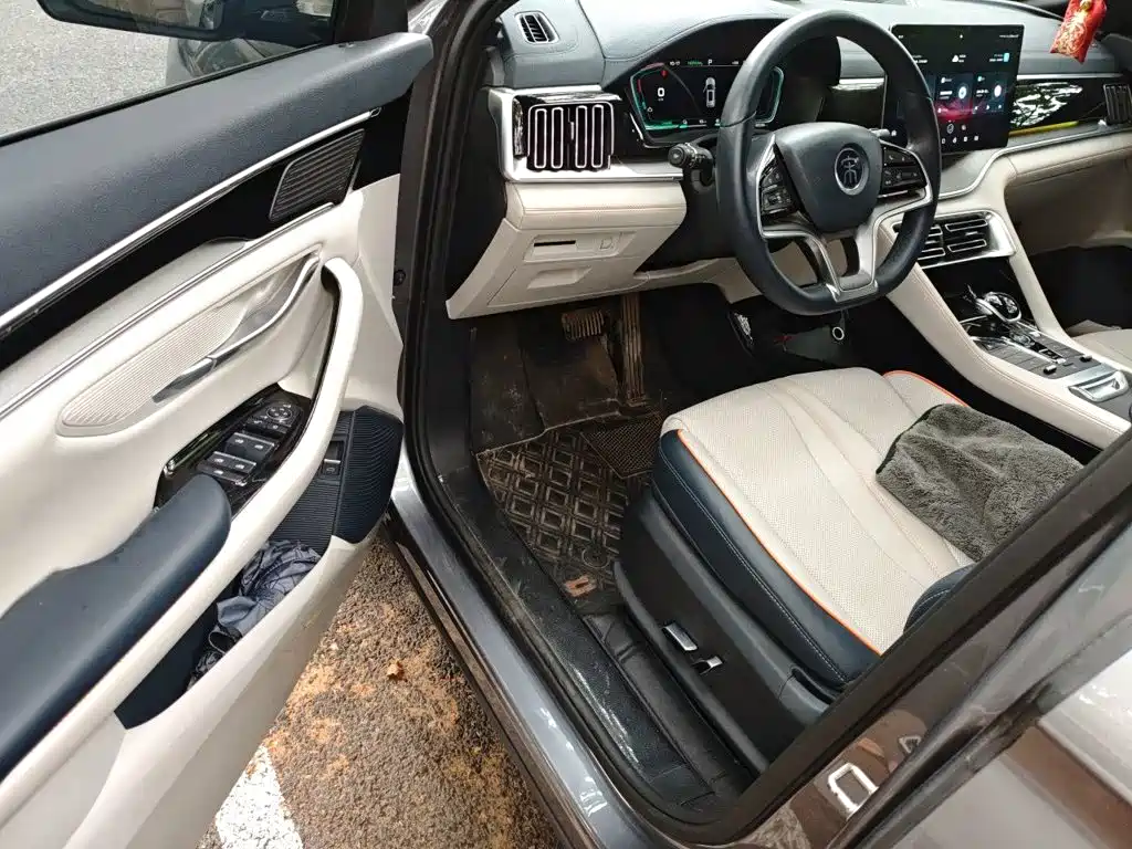 BYD Song PLUS New Energy 2022 — фото 12