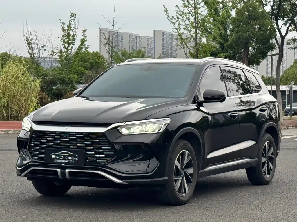 BYD Pro New Energy 2024 — фото 1