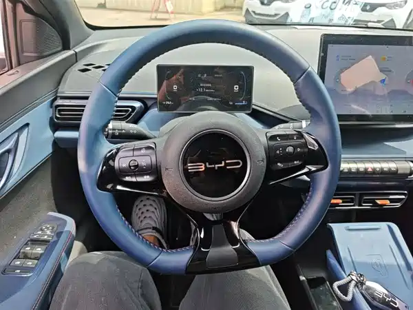 BYD Seagull 2024