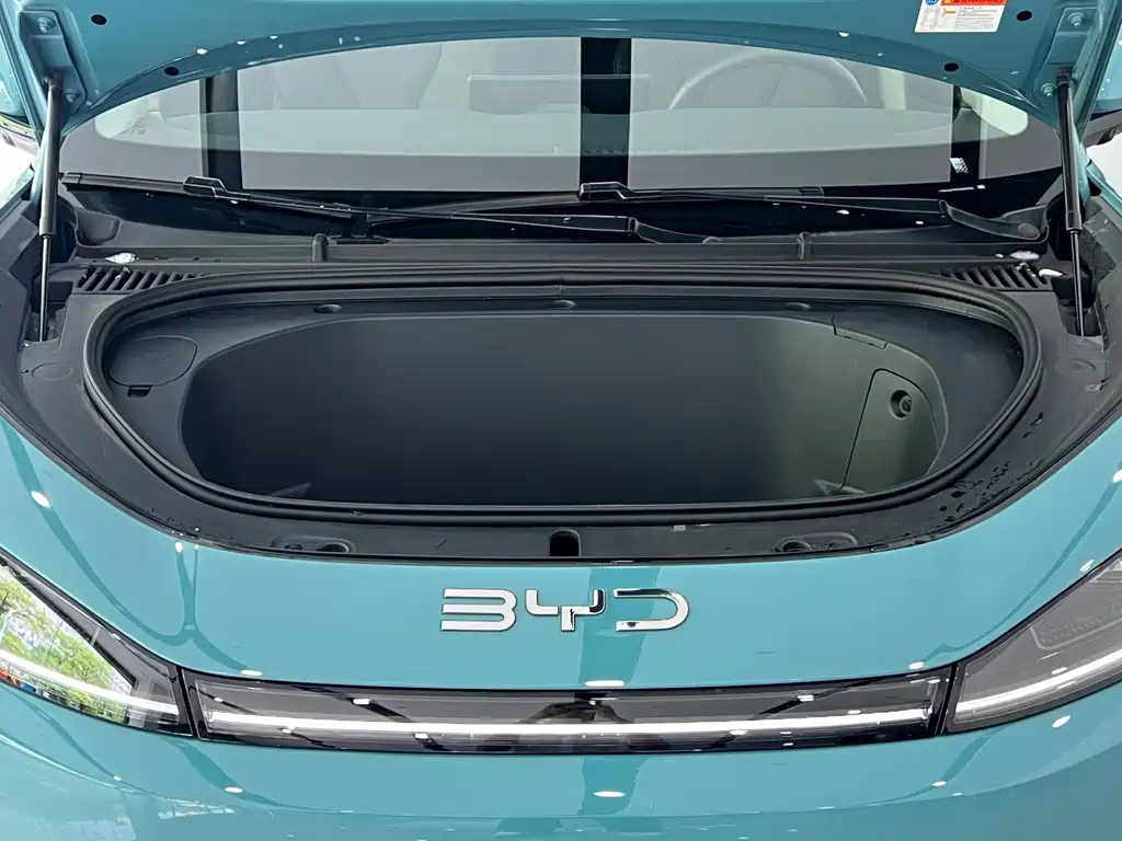 BYD Sealion 05 EV 2025 — фото 4