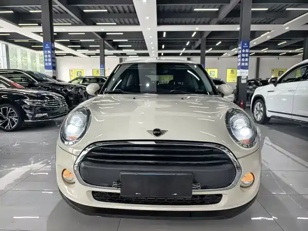 MINI 2018